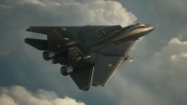 Corvus's F-14D Super Tomcat