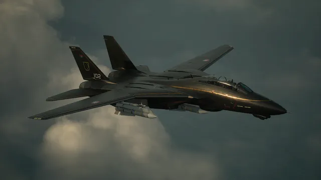 Ulula's F-14D Super Tomcat