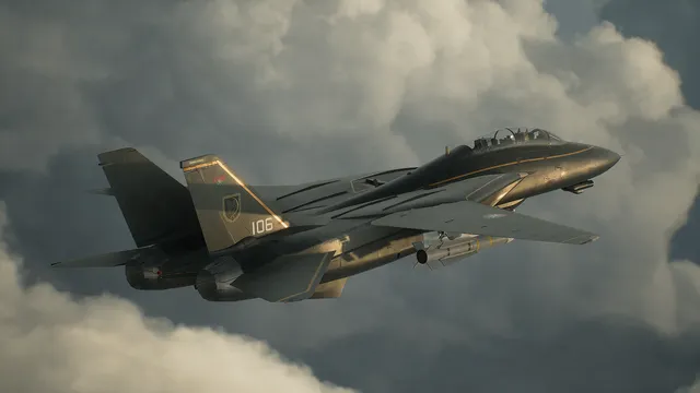 Picus's F-14D Super Tomcat