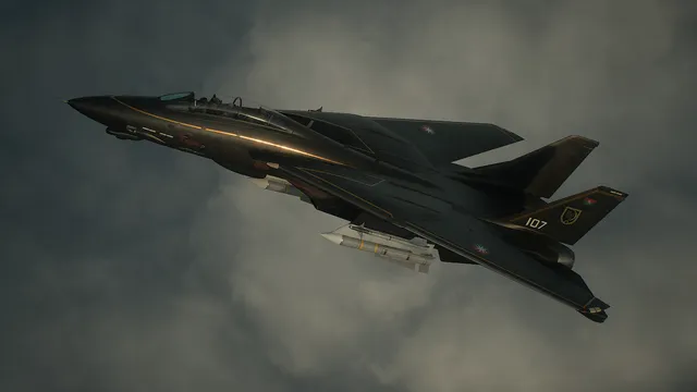 Cygnus's F-14D Super Tomcat
