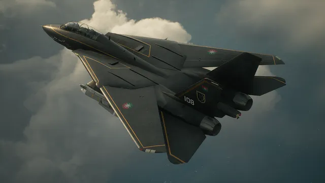 Hirundo's F-14D Super Tomcat