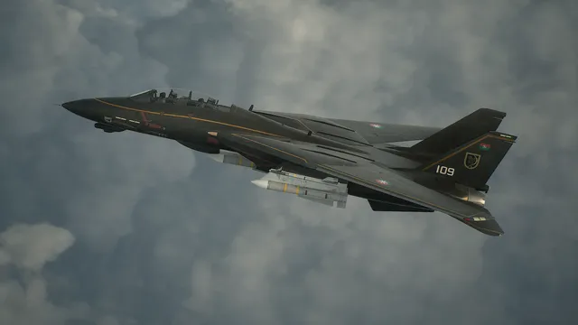 Grus's F-14D Super Tomcat