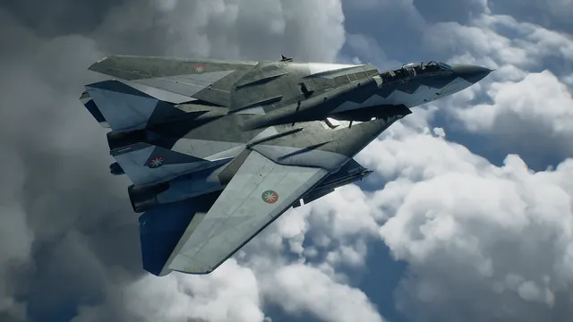 Larus's F-14D Super Tomcat