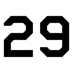 Air Force "29"