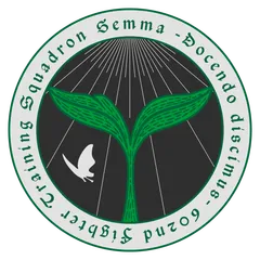 602nd Fighter Training Squadron