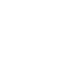 Shark (Low-Vis 1)