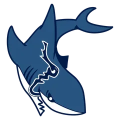 Shark (Basic)