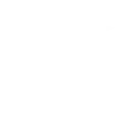 Shark (Basic / Low-Vis 1)