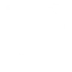 Republic of Southern Waiapolo Air Force (Low-Vis 1)