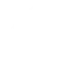 Flying Mole (Basic / Low-Vis 1)
