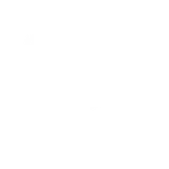 Five Wings (Low-Vis 1)