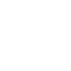 Noise (Low-Vis 1)
