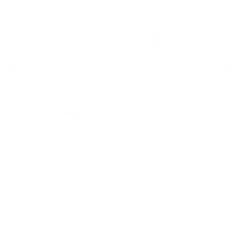 Little Bee (Low-Vis 1)