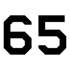Air Force "65"
