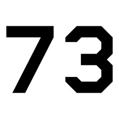 Air Force "73"