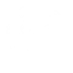 I3 Air Force (Low-Vis 1)