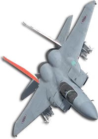F-15J Queen (Little Bee) Skin