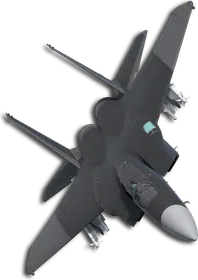 F-15J Two-Tone Black/Gray Skin