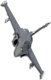 Rafale M Five Wings (Professor) Skin