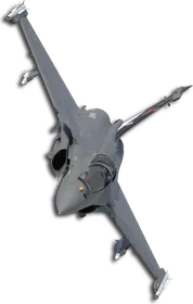 Rafale M Five Wings (Little Bee) Skin