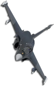 Rafale M Two-Tone Black/Gray Skin