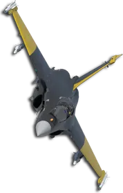 Rafale M Two-Tone Black/Yellow Skin