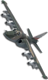 Su-25SM Queen (Little Bee) Skin