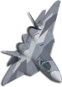 Su-57 Special Skin