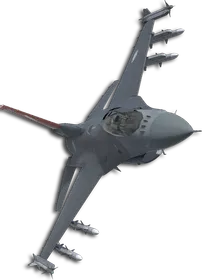 F-16C Queen (Little Bee) Skin