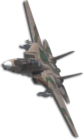 F-14D Sotoa Skin