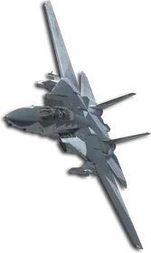 F-14D Special Skin