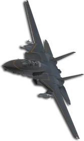 F-14D Shadows Skin