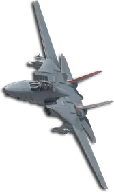 F-14D Queen Skin