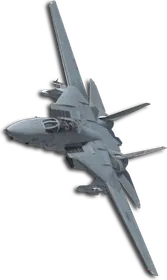 F-14D Five Wings (Tasha) Skin