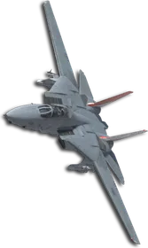 F-14D Queen (Little Bee) Skin