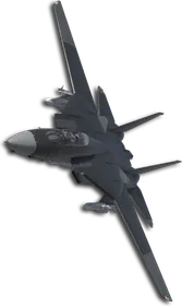 F-14D Two-Tone Black/Gray Skin