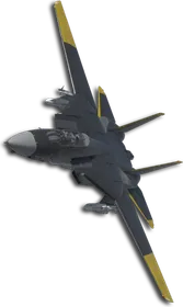 F-14D Two-Tone Black/Yellow Skin