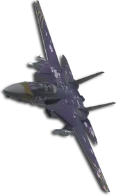 F-14D Zipang Skin