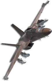 F/A-18F Sotoa Skin