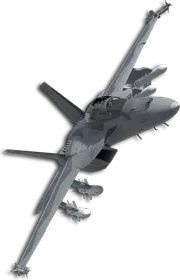 F/A-18F Special Skin