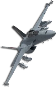 F/A-18F Five Wings "Covering X Mark" Skin