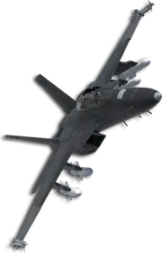 F/A-18F Two-Tone Black/Gray Skin