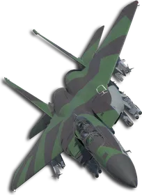F-15E Special Skin