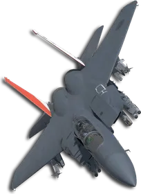 F-15E Queen (Little Bee) Skin