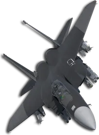 F-15E Two-Tone Black/Gray Skin