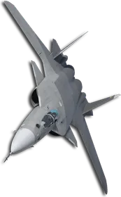 Su-47 Special Skin