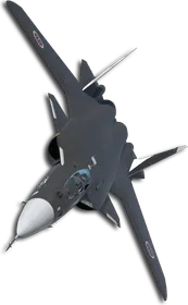 Su-47 Five Wings (Rex) Skin