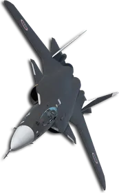Su-47 Joker (Tasha) Skin