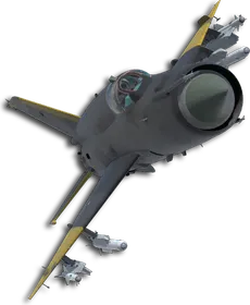 MiG-21bis Two-Tone Black/Yellow Skin