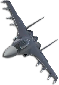 Su-35S Special Skin